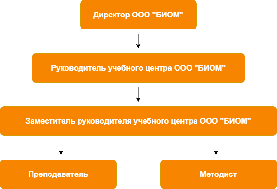 Структура образовательной организации